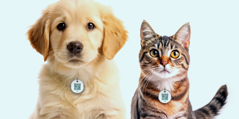 Scan - Track - Reunite